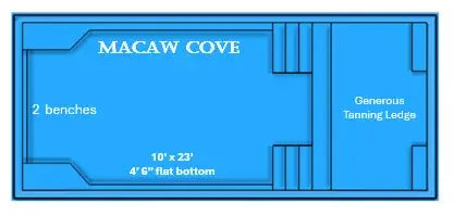 Macaw